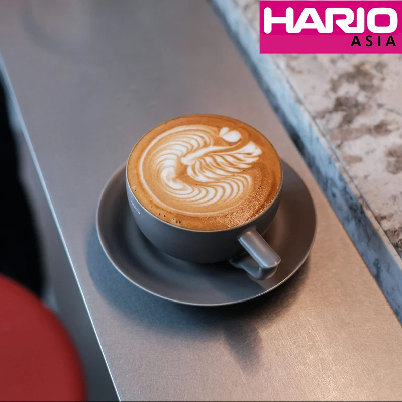 Hario Latte Bowl Ceramic Set