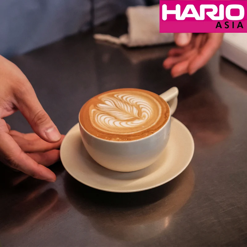 Hario Latte Bowl Ceramic Set