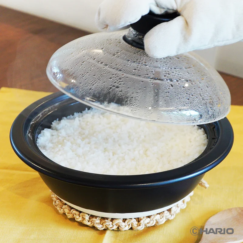 DONABE Glass Lid Cooking Pot