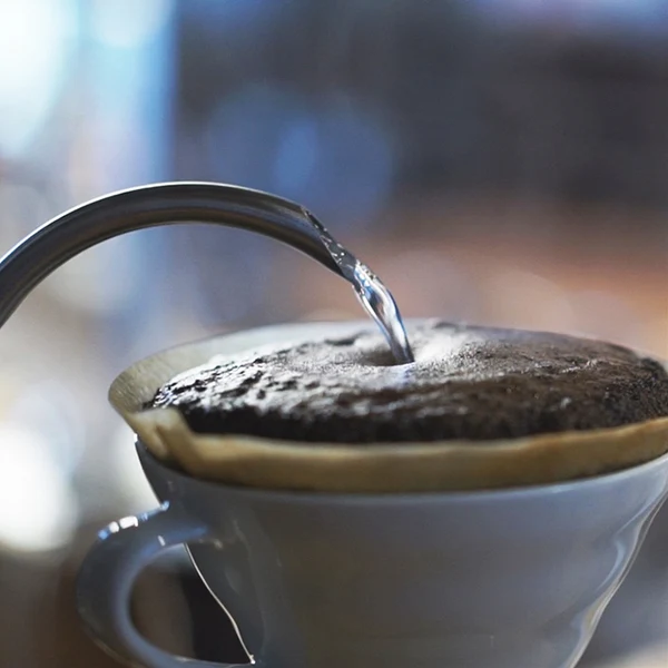 V60 Power Kettle BuonoN with Temperature control (EVT-80-HSV)