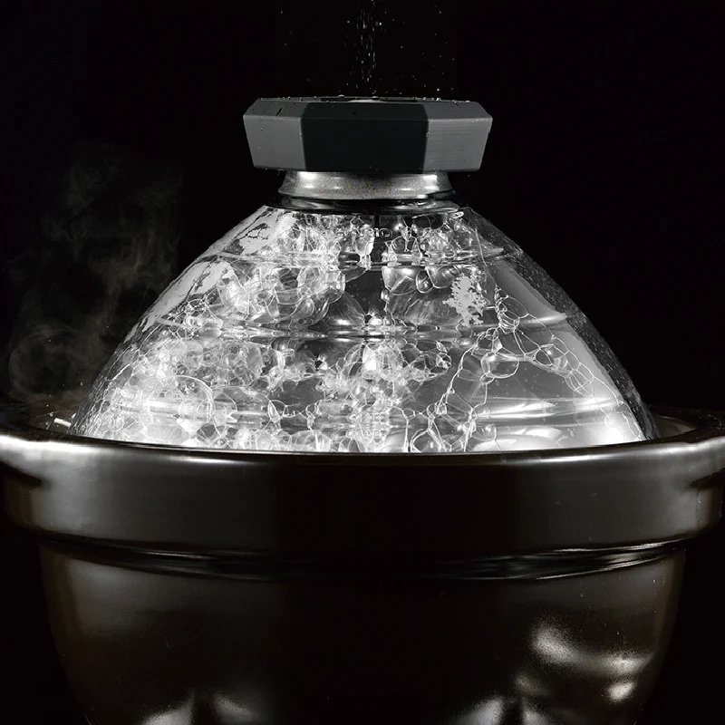 GOHANGAMA Glass Lid Rice Cooker (2-3 Cups)
