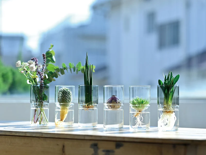 Glass Flower Vase