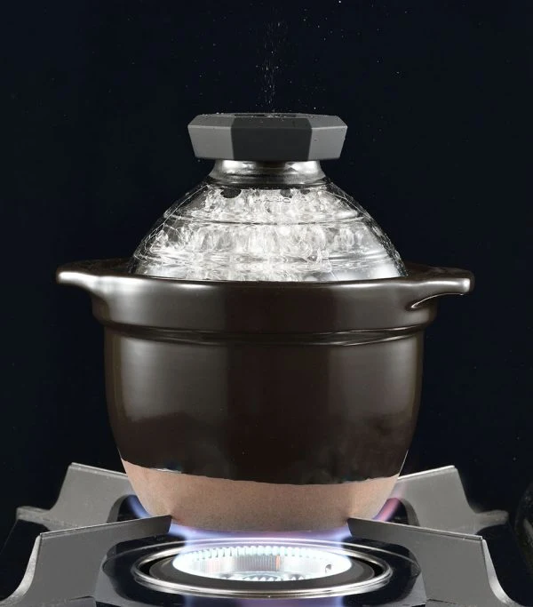 GOHANGAMA Glass Lid Rice Cooker (1-2 Cups)