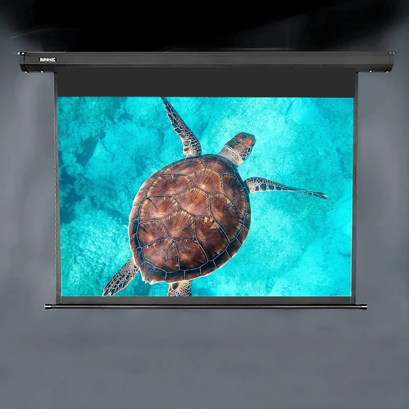 Duronic EPS115 16:9 Telo Proiettore 115 pollici, Schermo per proiettore, Telo da proiezione interno esterno, Home theater cinema Full HD 3D 4K, Schermo di proiezione anti pieghe per casa ufficio