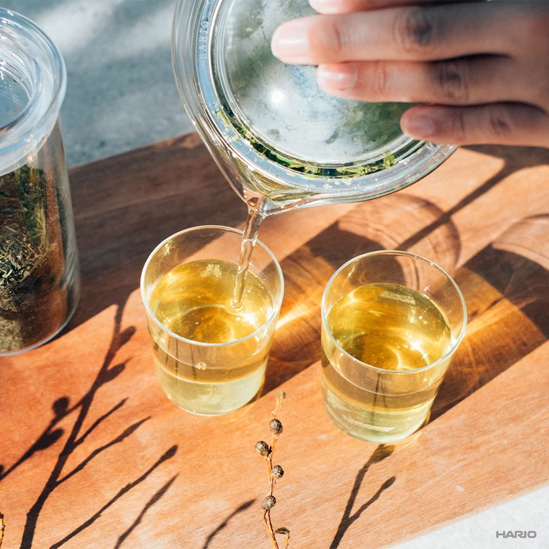 Cha Cha Kyusu Zen 450ml