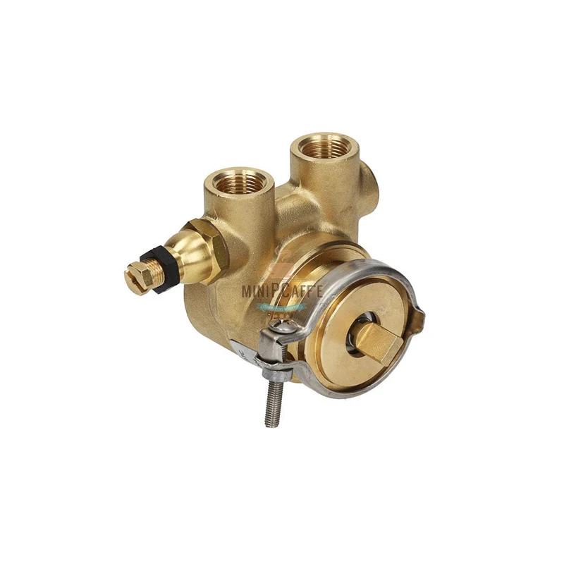 Rocket Espresso Rotary Pump and Motor Assembly
