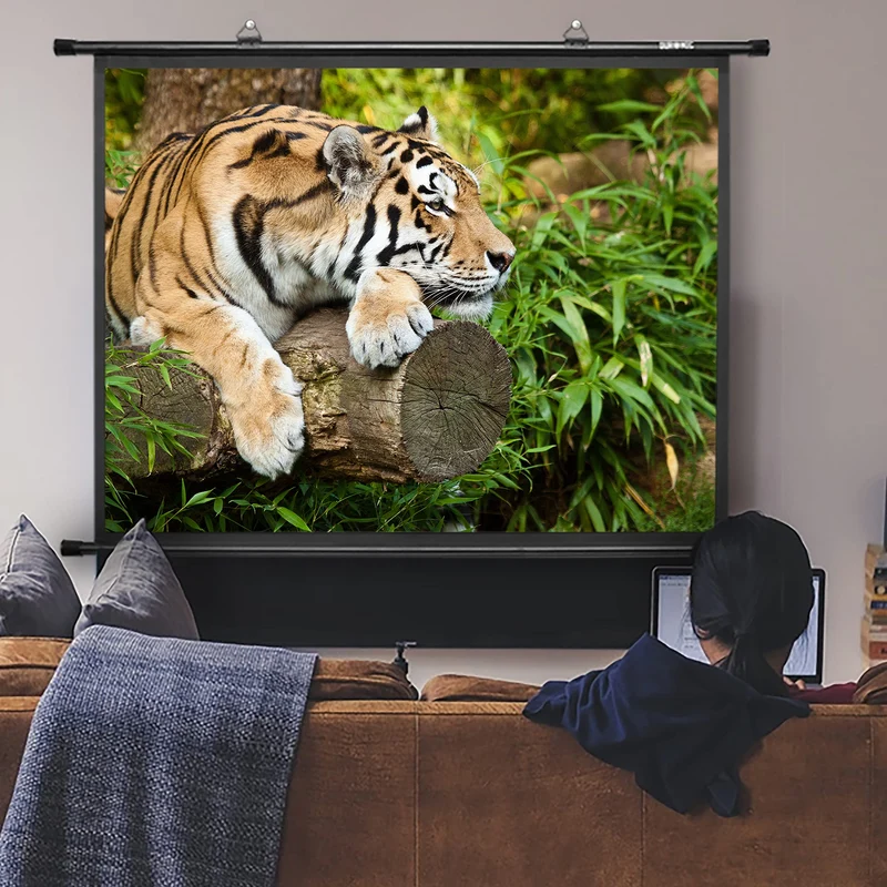 Duronic BPS80 4:3 Telo Proiettore 80 pollici, Schermo per proiettore, Telo da proiezione interno esterno, Home theater cinema Full HD 3D 4K, Schermo di proiezione anti pieghe per casa ufficio scuola
