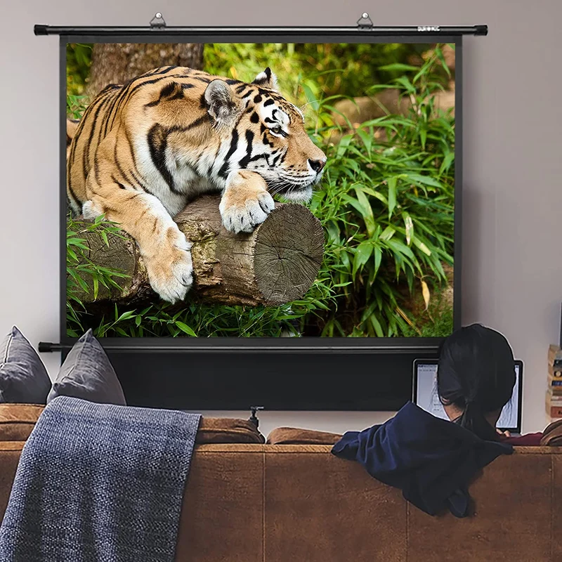 Duronic BPS60 4:3 Telo Proiettore 60 pollici, Schermo per proiettore, Telo da proiezione interno esterno, Home theater cinema Full HD 3D 4K, Schermo di proiezione anti pieghe per casa ufficio scuola