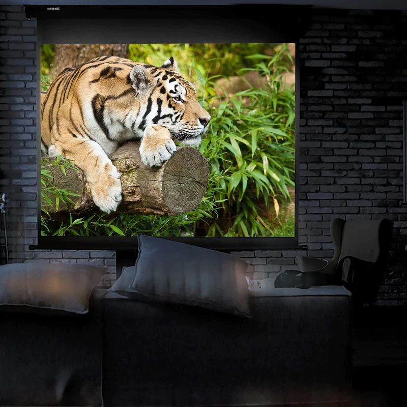 Duronic MPS70 4:3 Telo Proiettore 70 pollici, Schermo per proiettore, Telo da proiezione interno esterno, Home theater cinema Full HD 3D 4K, Schermo di proiezione anti pieghe per casa ufficio scuola