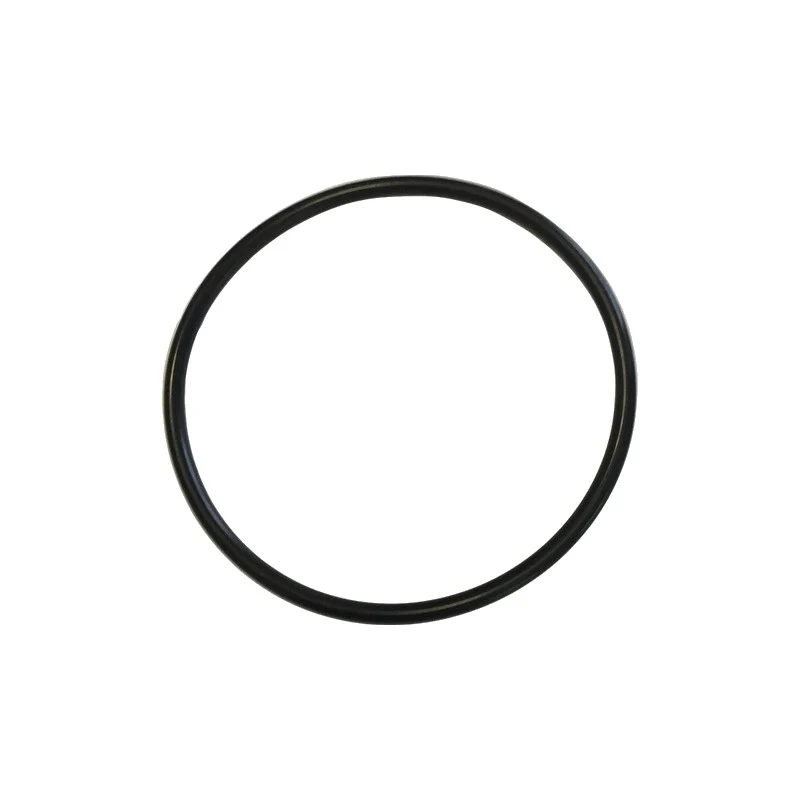 Or 55,56X3,53 viton® OR159 - spaziale - ricambio per macchina da caffè