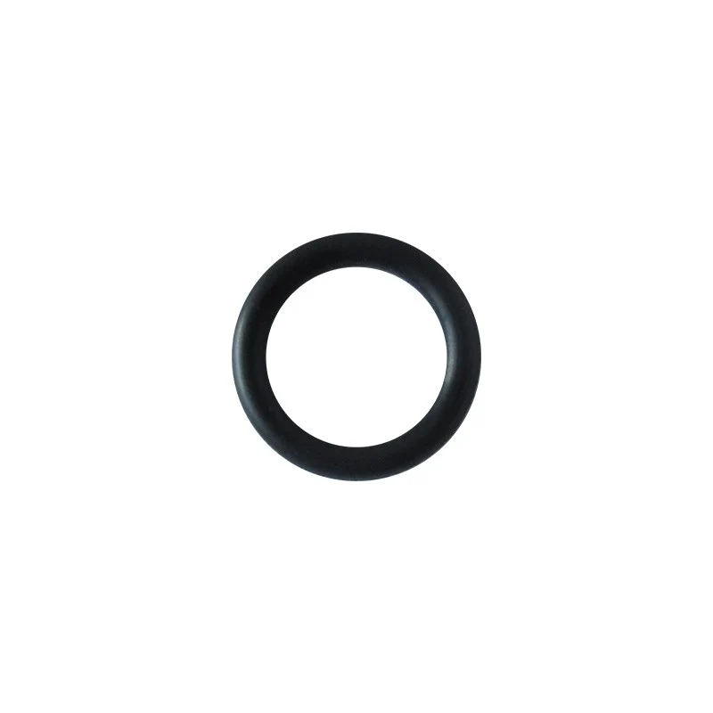 Or 13,1X2,62MM OR117 EPDM resistenza - ricambio per macchina da caffè