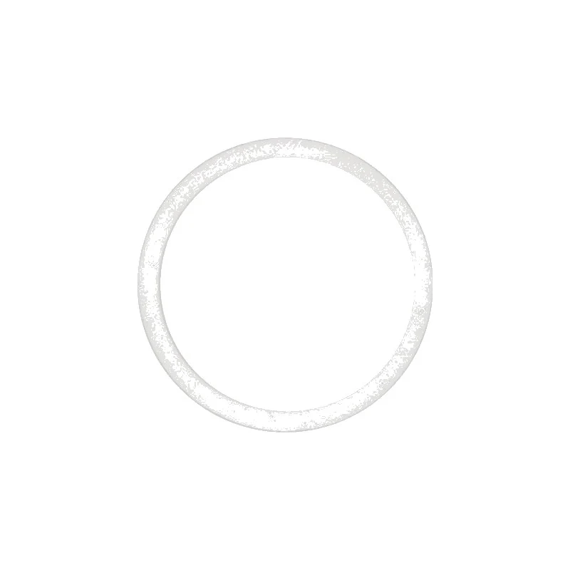 Guarnizione PTFE 58X50X3MM scambiatore M20 - ricambio per macchina da caffè