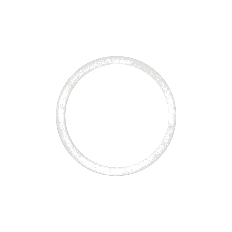 Guarnizione PTFE 58X50X3,5MM scambiatore M20 - ricambio per macchina da caffè
