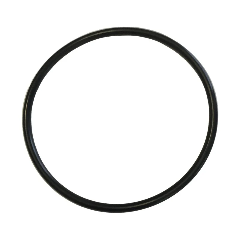 Or 55,25X2,62 NBR 70SH OR3218 - ricambio per macchina da caffè